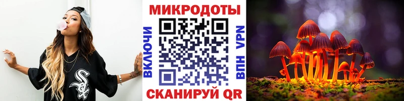 купить наркоту  Кораблино  Галлюциногенные грибы Psilocybe 